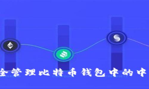 如何安全管理比特币钱包中的中文私钥?