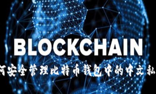 如何安全管理比特币钱包中的中文私钥?
