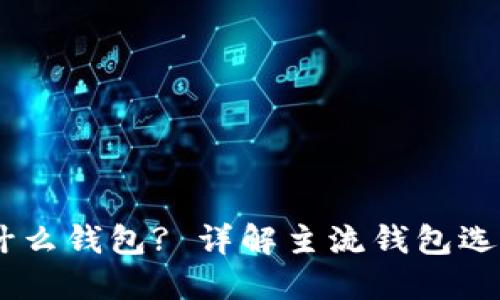 接收USDT用什么钱包? 详解主流钱包选择与使用指南