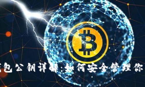 : 比特币钱包公钥详解:如何安全管理你的数字资产
