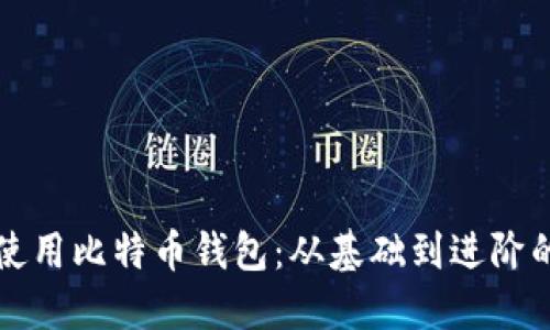 如何正确使用比特币钱包:从基础到进阶的全面指南