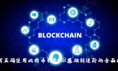 如何正确使用比特币钱包:从基础到进阶的全面