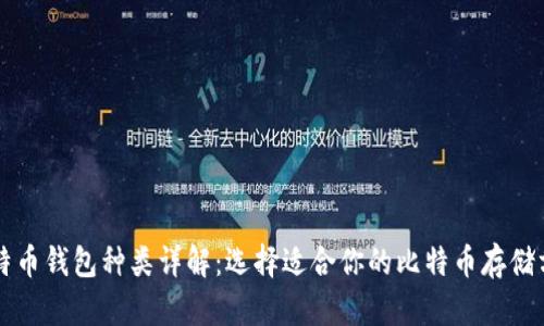 比特币钱包种类详解:选择适合你的比特币存储方式