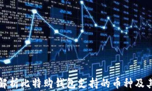 全面解析比特购钱包支持的币种及其特点