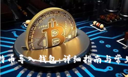 如何将比特币导入钱包:详细指南与常见问题解析