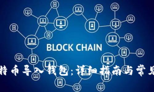 如何将比特币导入钱包:详细指南与常见问题解析