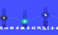 如何安全高效地将比特币提币到钱包?全面指南