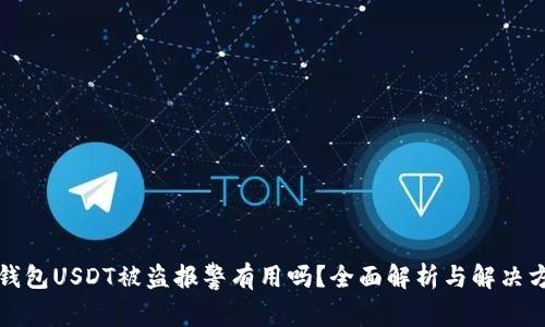 TP钱包USDT被盗报警有用吗?全面解析与解决方案