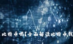 货币钱包都能装比特币吗?全面解读比特币钱包