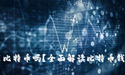货币钱包都能装比特币吗?全面解读比特币钱包的种类与功能