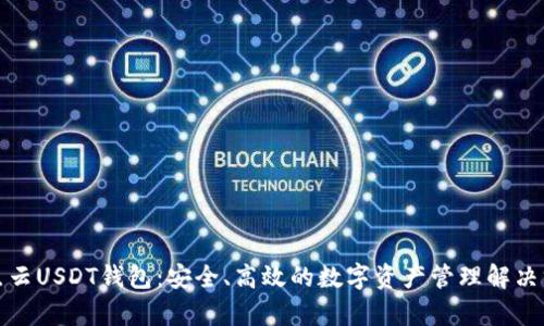 奇点云USDT钱包:安全、高效的数字资产管理解决方案