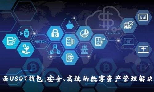 奇点云USDT钱包:安全、高效的数字资产管理解决方案