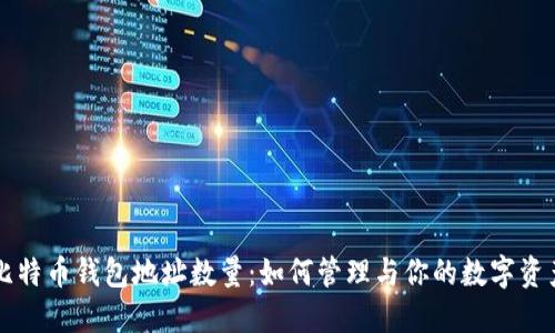 比特币钱包地址数量:如何管理与你的数字资产
