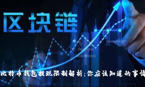 比特币钱包提现限制解析:你应该知道的事情