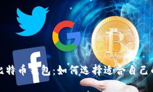 全面解析比特币钱包:如何选择适合自己的钱包类型