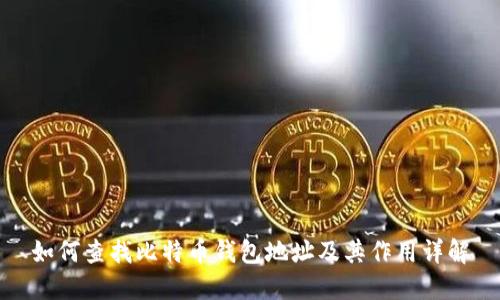 如何查找比特币钱包地址及其作用详解