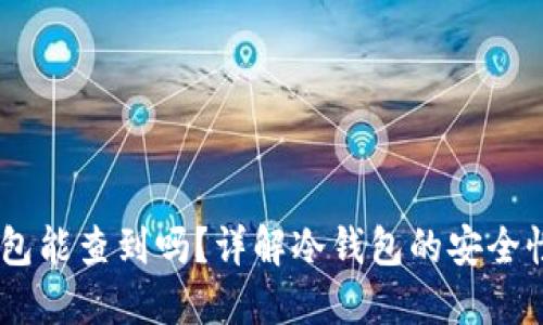 USDT冷钱包能查到吗?详解冷钱包的安全性与隐私性