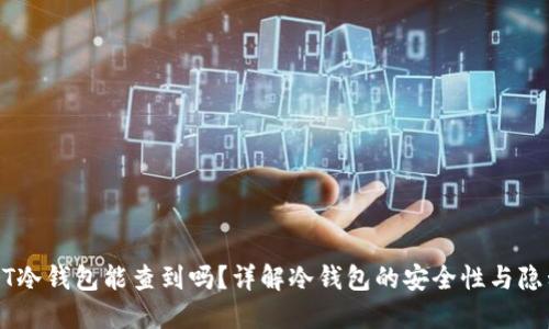 USDT冷钱包能查到吗?详解冷钱包的安全性与隐私性