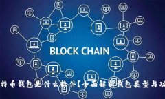 比特币钱包是什么软件？全面解析钱包类型与功