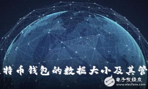本地比特币钱包的数据大小及其管理方法