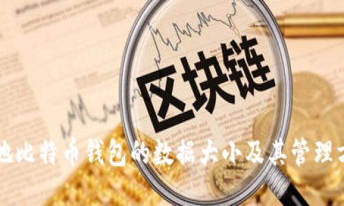 本地比特币钱包的数据大小及其管理方法