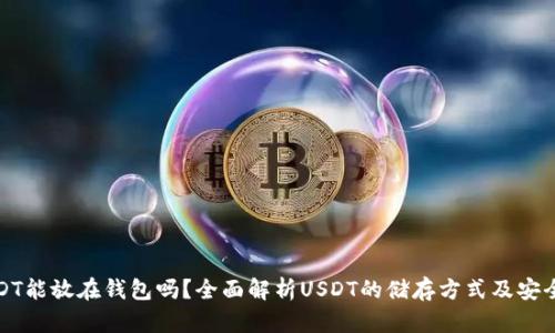USDT能放在钱包吗?全面解析USDT的储存方式及安全性