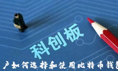 安卓手机用户如何选择和使用比特币钱包:全面指南