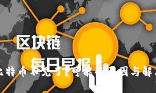钱包里的比特币不见了?可能的原因与解决方案详解