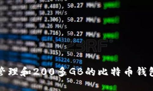 如何管理和200多GB的比特币钱包数据
