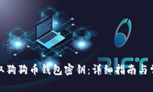 如何安全提取狗狗币钱包密钥:详细指南与常见问题解答