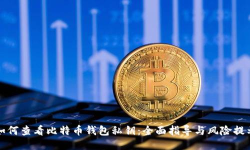 如何查看比特币钱包私钥:全面指导与风险提示
