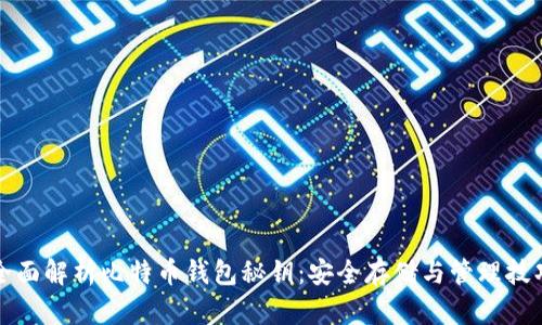 全面解析比特币钱包秘钥:安全存储与管理技巧