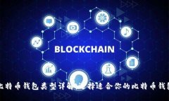 比特币钱包类型详解:选择适合你的比特币钱包