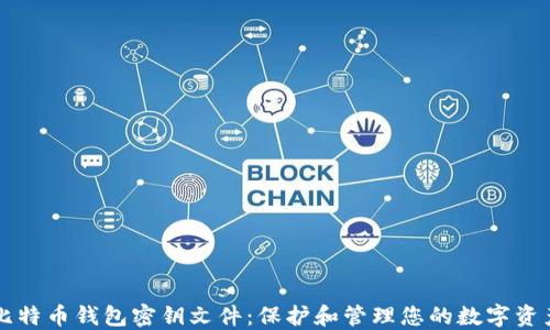 比特币钱包密钥文件:保护和管理您的数字资产