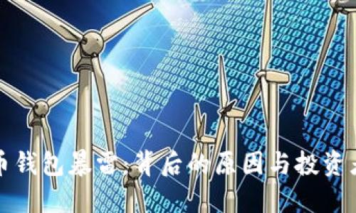 国内比特币钱包暴雷:背后的原因与投资者应对策略