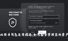 比特币钱包使用指南:如何安全管理您的资产
