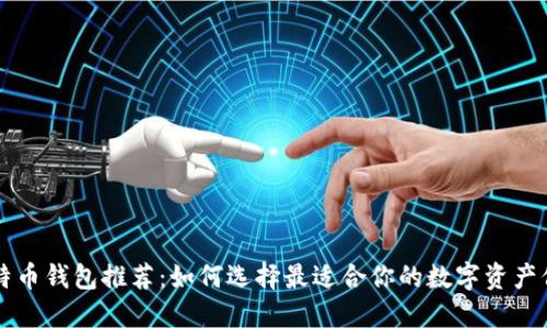 国内比特币钱包推荐:如何选择最适合你的数字资产保护工具