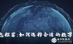 瑞波币钱包推荐:如何选择合适的数字货币钱包