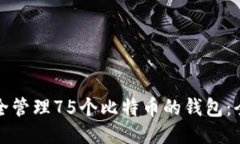 如何安全管理75个比特币的钱包:全面指南
