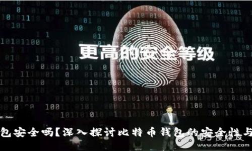 比特币钱包安全吗？深入探讨比特币钱包的安全性与使用技巧