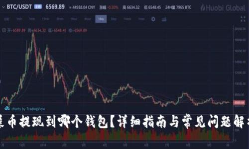 屎币提现到哪个钱包?详细指南与常见问题解析