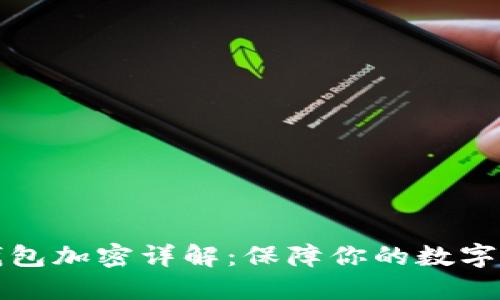 虚拟币钱包加密详解:保障你的数字资产安全