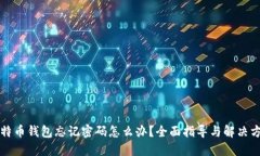 比特币钱包忘记密码怎么办?全面指导与解决方
