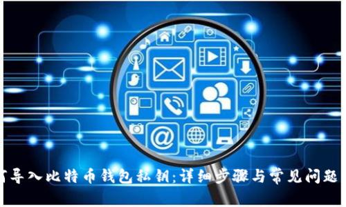 如何导入比特币钱包私钥:详细步骤与常见问题解答