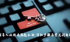 如何导入比特币钱包私钥:详细步骤与常见问题