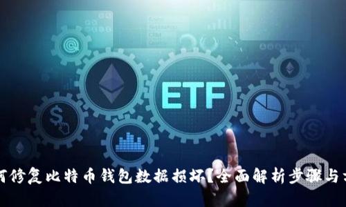 如何修复比特币钱包数据损坏?全面解析步骤与方法