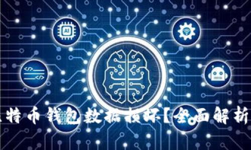 如何修复比特币钱包数据损坏?全面解析步骤与方法