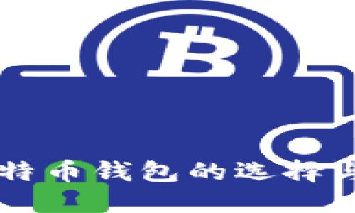 中文版比特币钱包的选择与使用指南