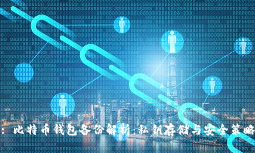 : 比特币钱包备份解析：私钥存储与安全策略