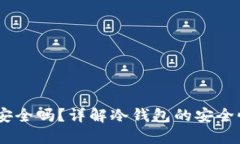 USDT冷钱包安全吗?详解冷钱包的安全性与使用技
